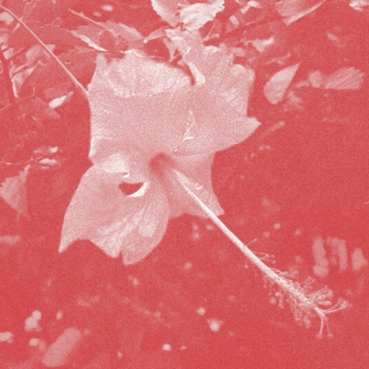 Celer Poulaine CD