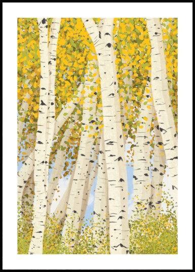 Birch Trees in Autumn Plakat / 40x50