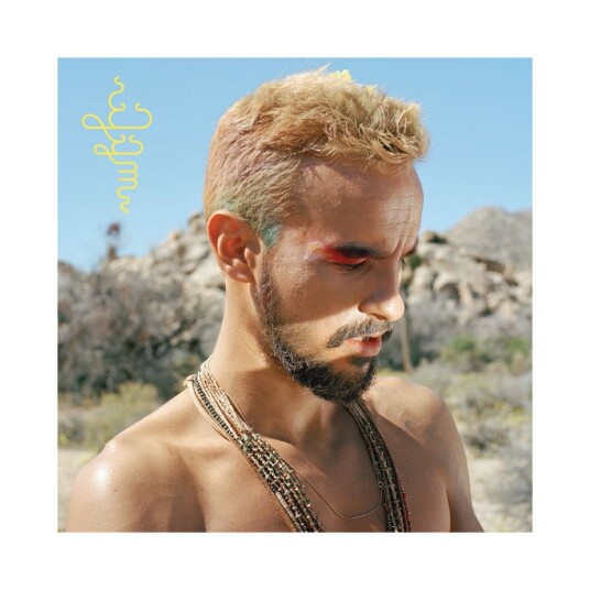 Gabriel GarzonMontano Jardin Instrumentals LP/Vinyl
