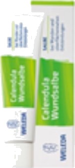 Calendula salve 10% wel Calendula salve 10% wel