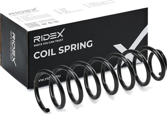 RIDEX 188C0291 Fjær