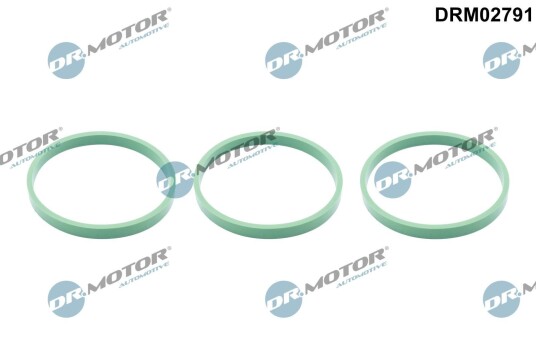 Tetning innsugningsmanifold Dr.Motor Automotive DRM02791