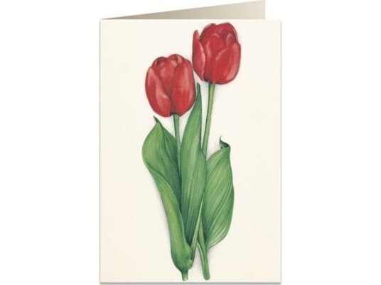Tassotti Karnet B6 + Koperta 7517 Czerwone Tulipany