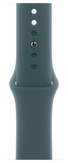 Apple 42mm Lake Green Sport Band M/L Apple 42mm Lake Green Sport Band M/L