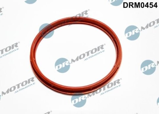 Tetning innsugningsmanifold Dr.Motor Automotive DRM0454