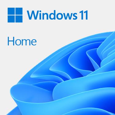 Microsoft Win 11 Home 64Bit French 1pk DSP OEI DVD FR