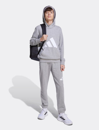 adidas Sportswear J Bl Ft Hd 280 Grey 164 adidas Sportswear J Bl Ft Hd 280 Grey 164