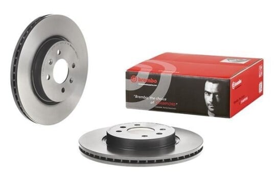 Bremseskive BREMBO 09.D880.11