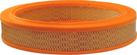 Luftfilter FILTRON AR 363 Luftfilter FILTRON AR 363