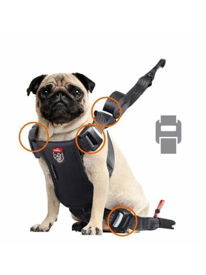 Zolux Travel Safe S Hundesele Rød