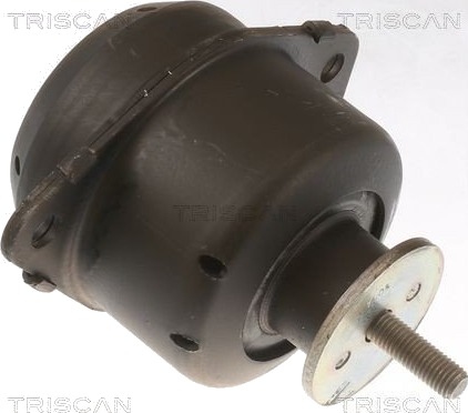 TRISCAN 8505 65103 Motorfeste