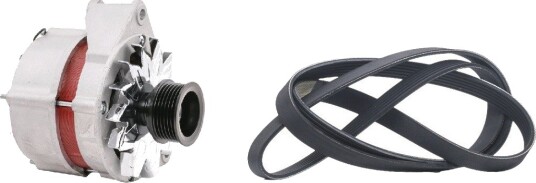RIDEX 4G3198 Dynamo