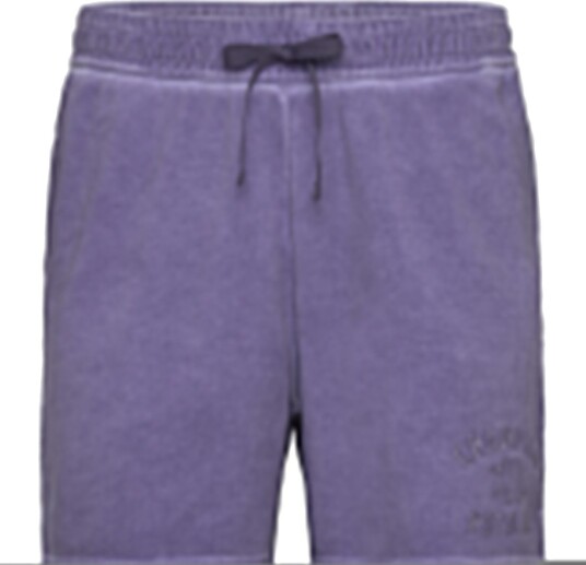 Champion Shorts Purple XXL Champion Shorts Purple XXL