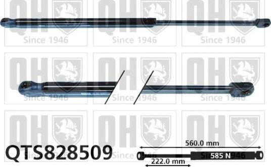 QUINTON HAZELL QTS828509 Baklukedemper