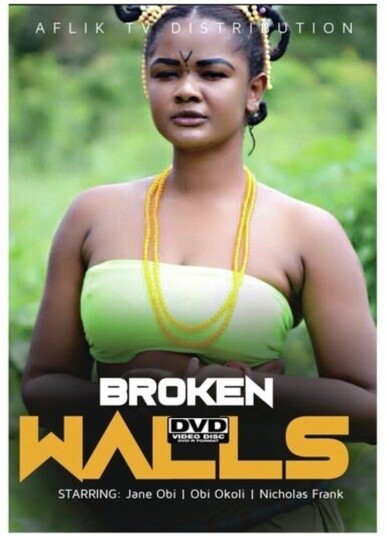Broken Walls DVD Broken Walls DVD