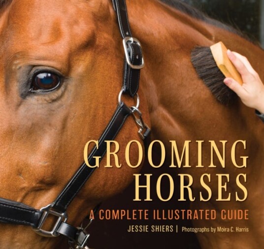 Grooming Horses A Complete Illustrated Guide Grooming Horses A Complete Illustrated Guide
