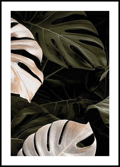 Golden Monstera №1 Plakat Plakat / 100x150cm