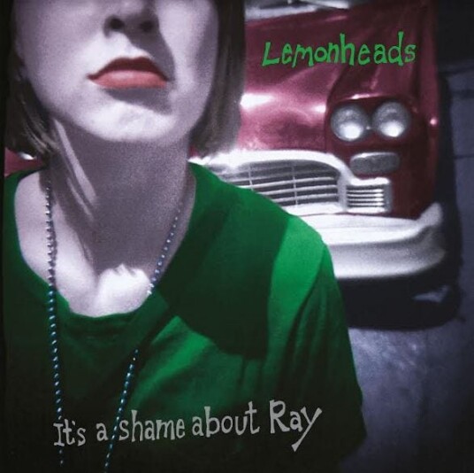 The Lemonheads  It's A Shame About Ray With Book  LP/Vinyl