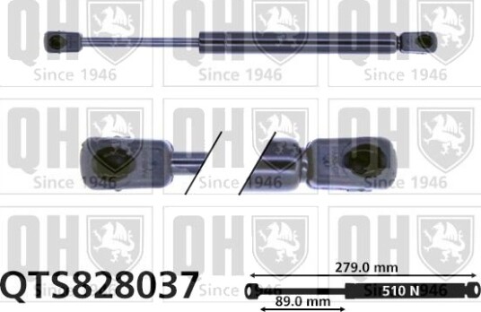QUINTON HAZELL QTS828037 Baklukedemper