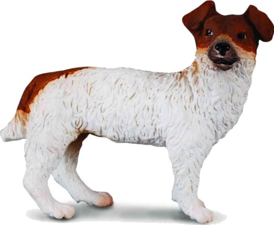Jack Russell Terrier Hund S