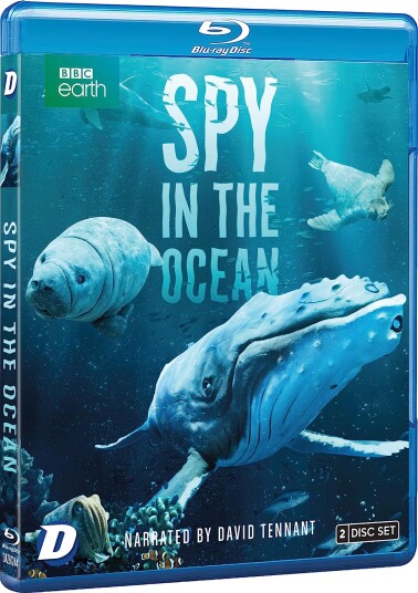 Spy In The Ocean