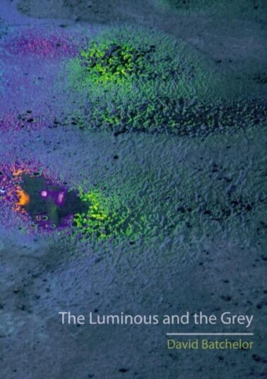 The Luminous And The Grey Av David Batchelor