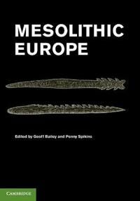 Bailey Geoff Mesolithic Europe