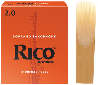Daddario Woodwinds Rico Soprano Sax 2