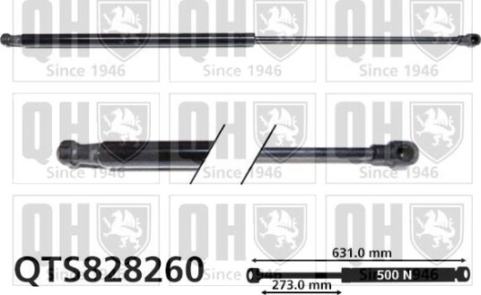 QUINTON HAZELL QTS828260 Baklukedemper