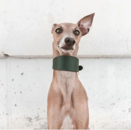 Collar Of Sweden Bredt Hundehalsbånd Mørkegrønn M