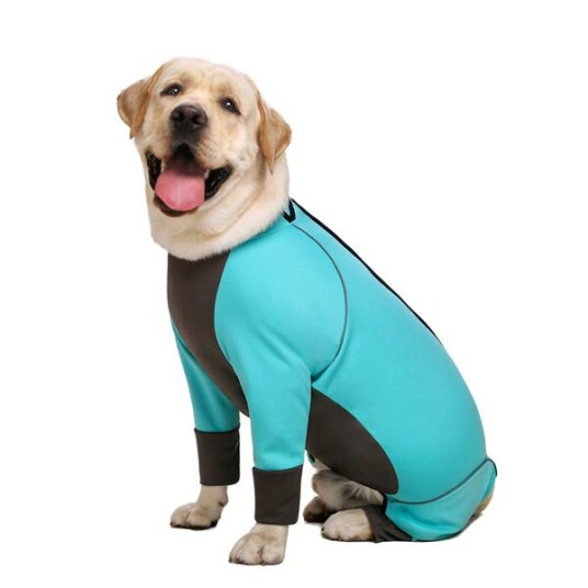 Turkis Heldress Til Hund Snøbeskyttende Dress