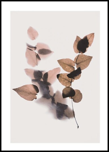 Brown Leafe Plakat Plakat / 100x150cm