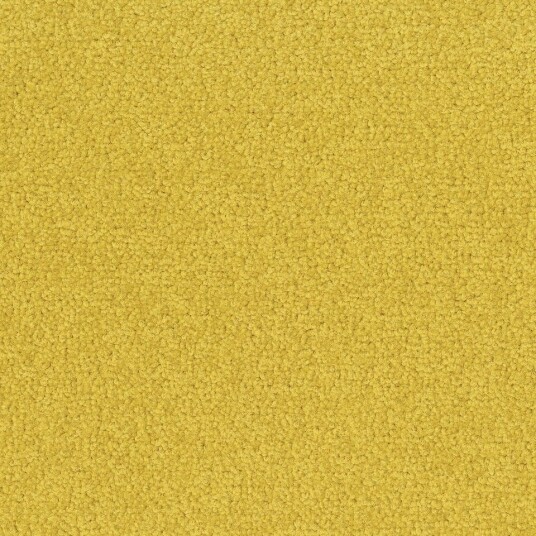 Teppeflis   DESSO Palatino   A072 6208