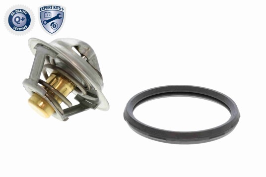 Termostat ACKOJA A38 99 0033