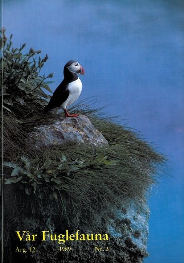 Norsk Ornitologisk Forening Vår Fuglefauna   1989 3 årgang 12