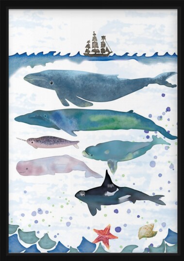 Plakat Hvaler