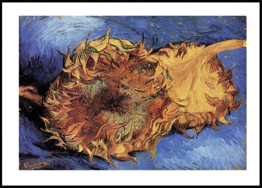 Sunflowers By Vincent van Gogh Plakat Plakat / 40x50cm