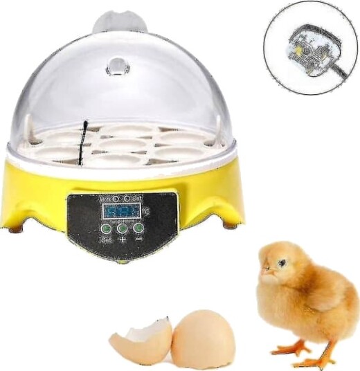 Automatisk fjørfeinkubator for 7 egg med temperaturkontroll - Z-HG