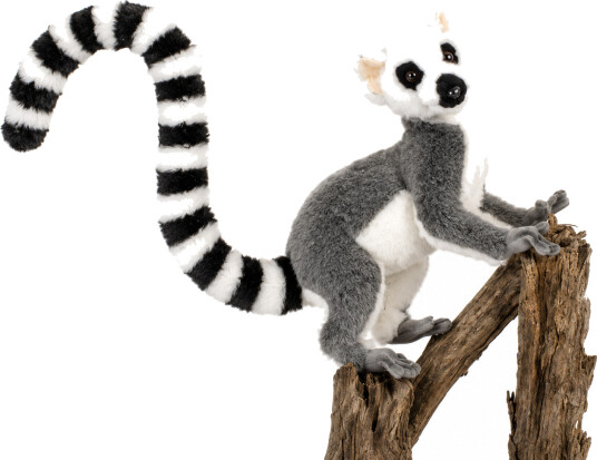 Lemur Kosedyr 30cm | Hansa Creation Lemur Kosedyr 30cm | Hansa Creation