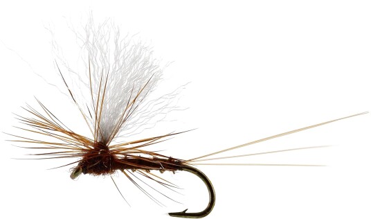 Flies Vespertina Dun Biot Brown Brown