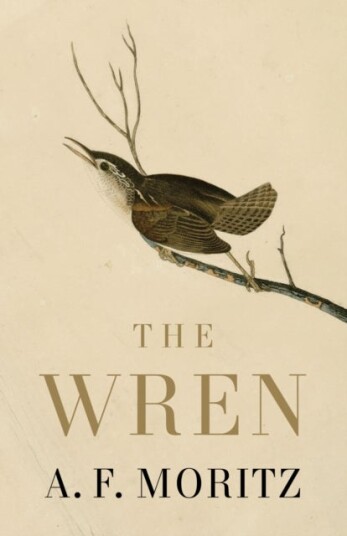 The Wren