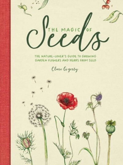 The Magic Of Seeds Av Clare (Author) Gogerty The Magic Of Seeds Av Clare (Author) Gogerty