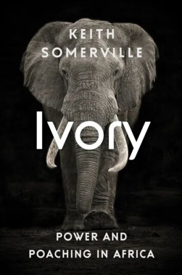 Ivory Av Keith Somerville