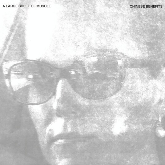 A Large Sheet Of Muscle Chinese Benefits Vinyl