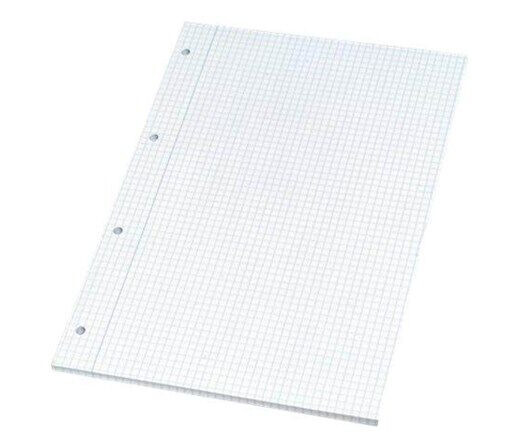 Bantex -Standardblokk, A4, Rutet, Hullet