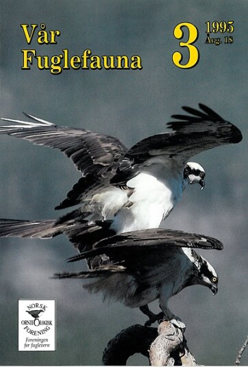 Norsk Ornitologisk Forening Vår Fuglefauna   1995 3 årgang 18
