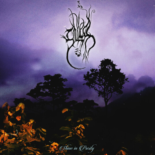 The Soulless Shine In Purity CD