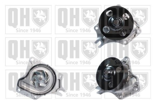 QUINTON HAZELL QCP3637 Vannpumpe