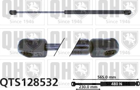 QUINTON HAZELL QTS128532 Baklukedemper