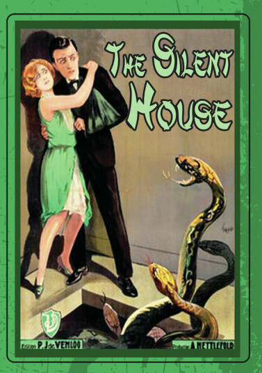 Silent House DVD
